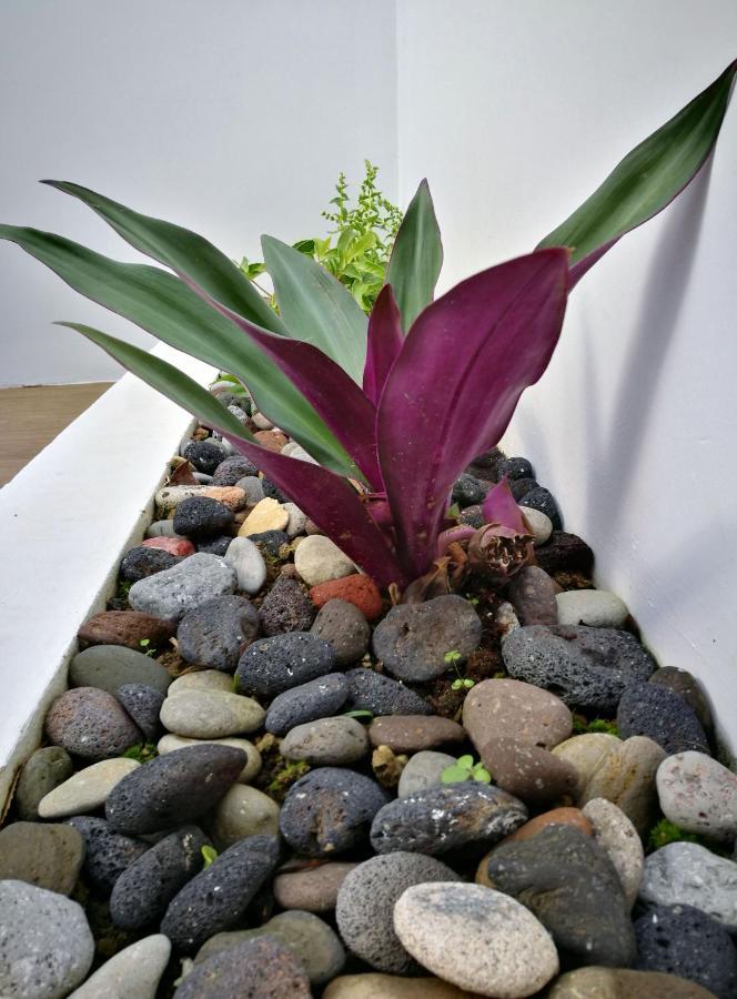 Furnas Springs别墅 外观 照片
